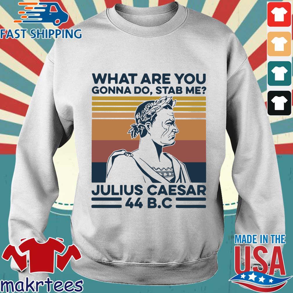 What Are You Gonna Do Stab Me Julius Caesar 44 Bc Vintage Retro Shirt